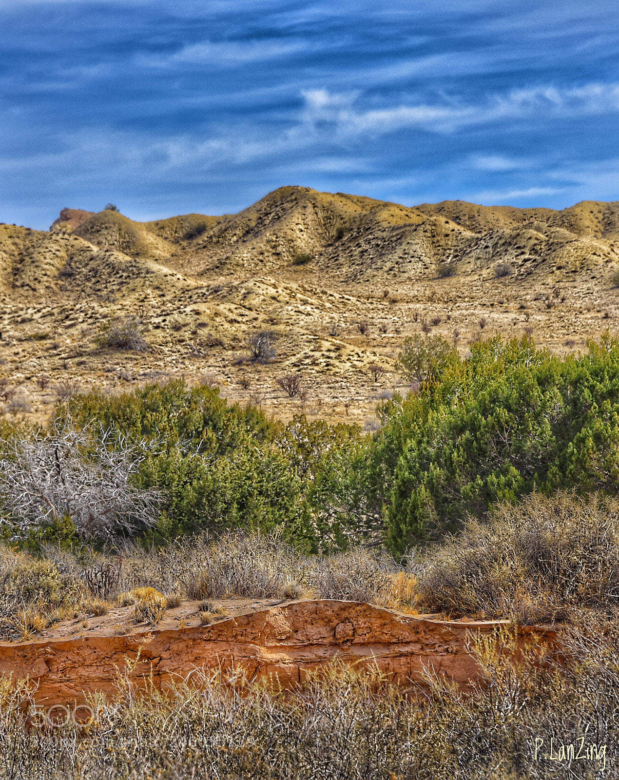 Nikon D810 sample photo. Ojito wilderness photography