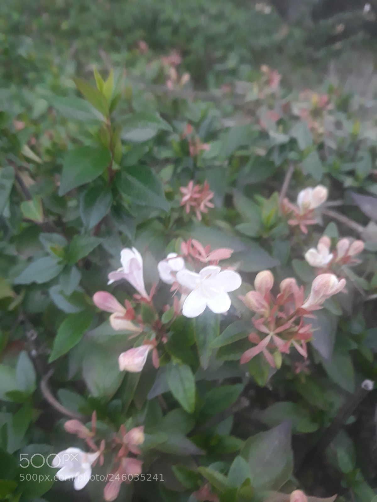 Samsung Galaxy J7 sample photo. Untitled photography