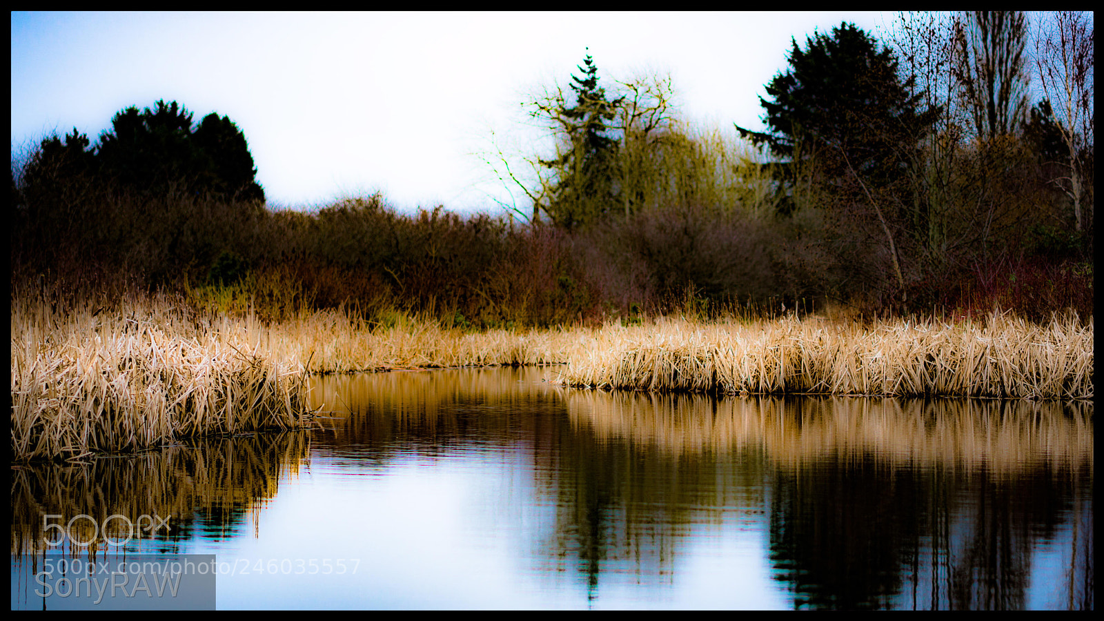 Sony a6500 sample photo. Reflection photography