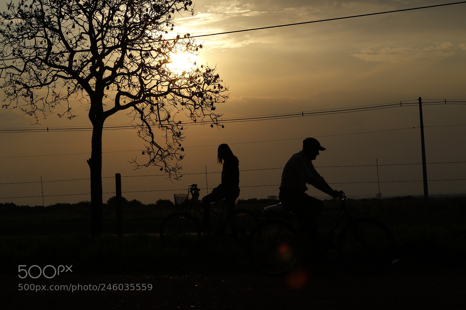 Canon EF 50mm F1.8 STM sample photo. La photography