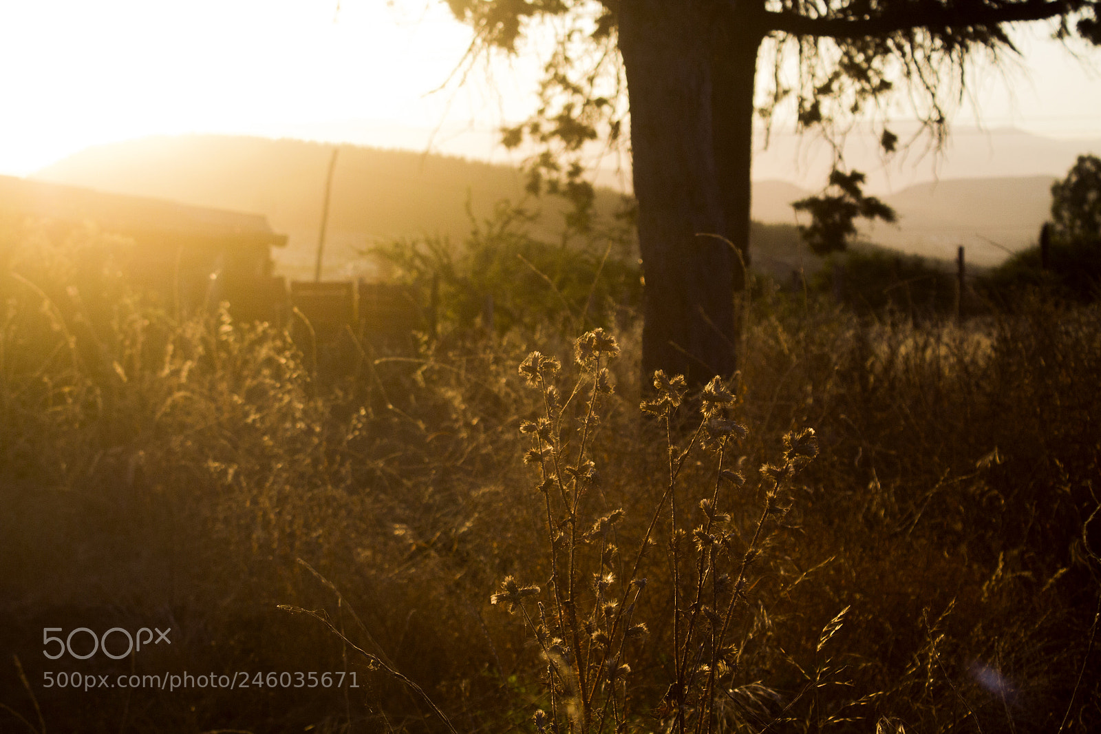 Canon EOS 1100D (EOS Rebel T3 / EOS Kiss X50) sample photo. Atardecer photography