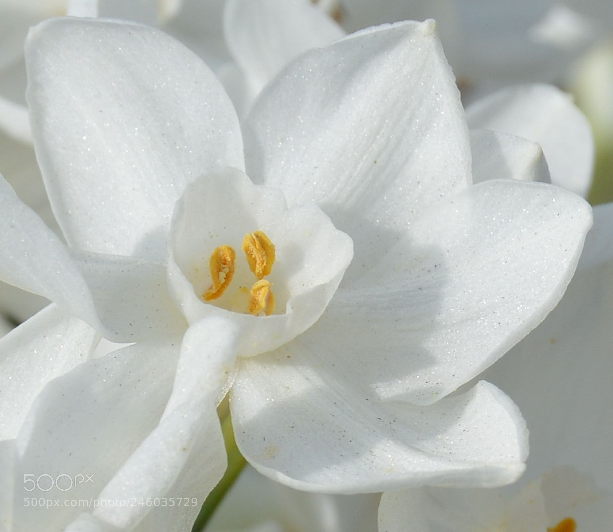 Nikon D3200 sample photo. Peaceful photography