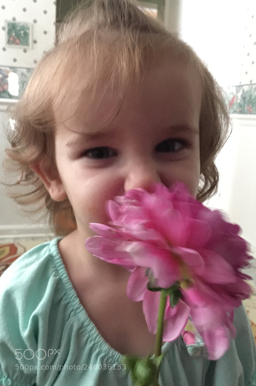 Apple iPhone 6 Plus sample photo. Young child smelling a photography