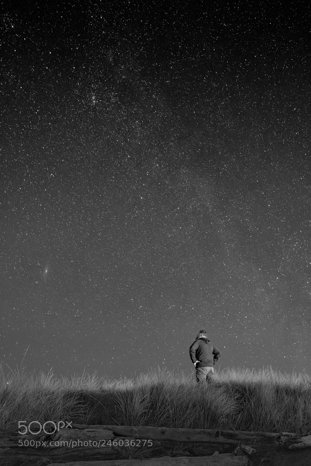 Fujifilm X-T2 sample photo. Ocean shores, wa photography
