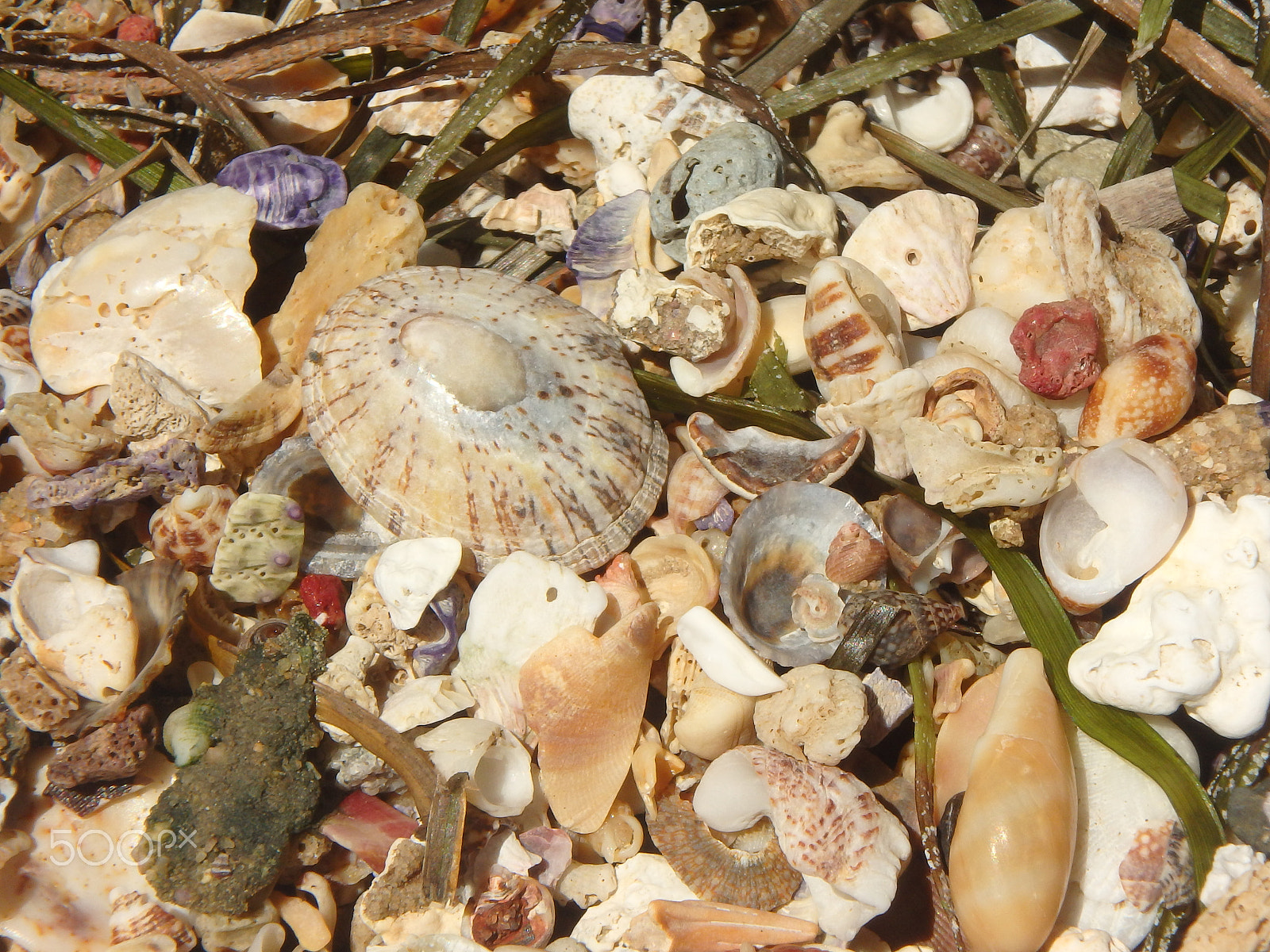 Olympus TG-850 sample photo. Beach combing 3 photography