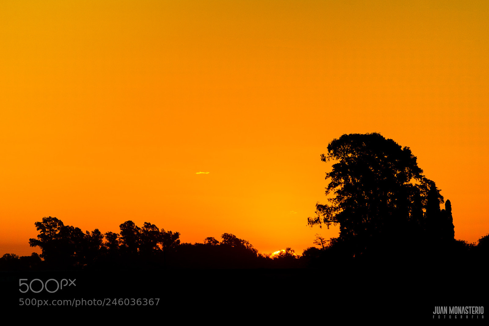 Nikon D7100 sample photo. Puesta de sol photography