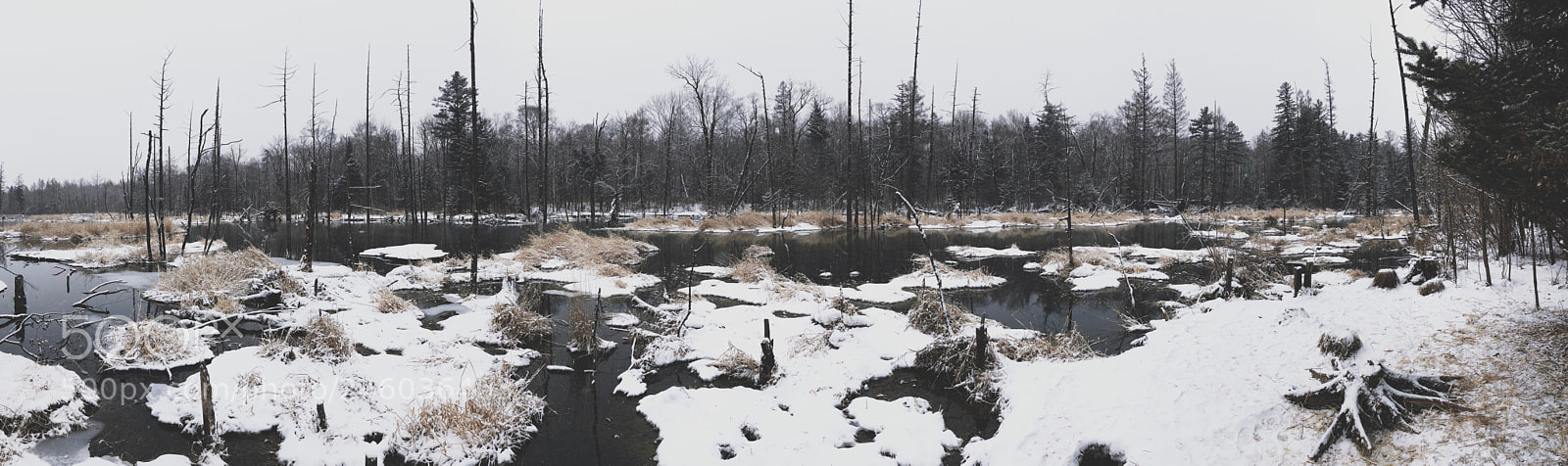 Apple iPhone 8 sample photo. Riverside in winter snow photography