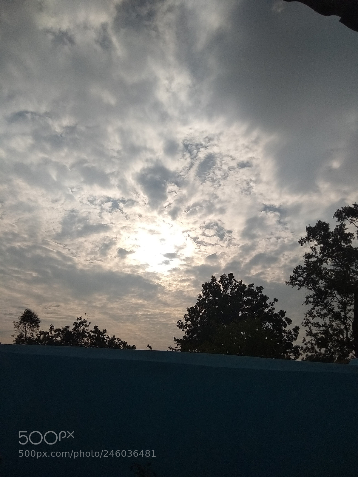 Xiaomi Redmi Note 5A sample photo. Untitled photography