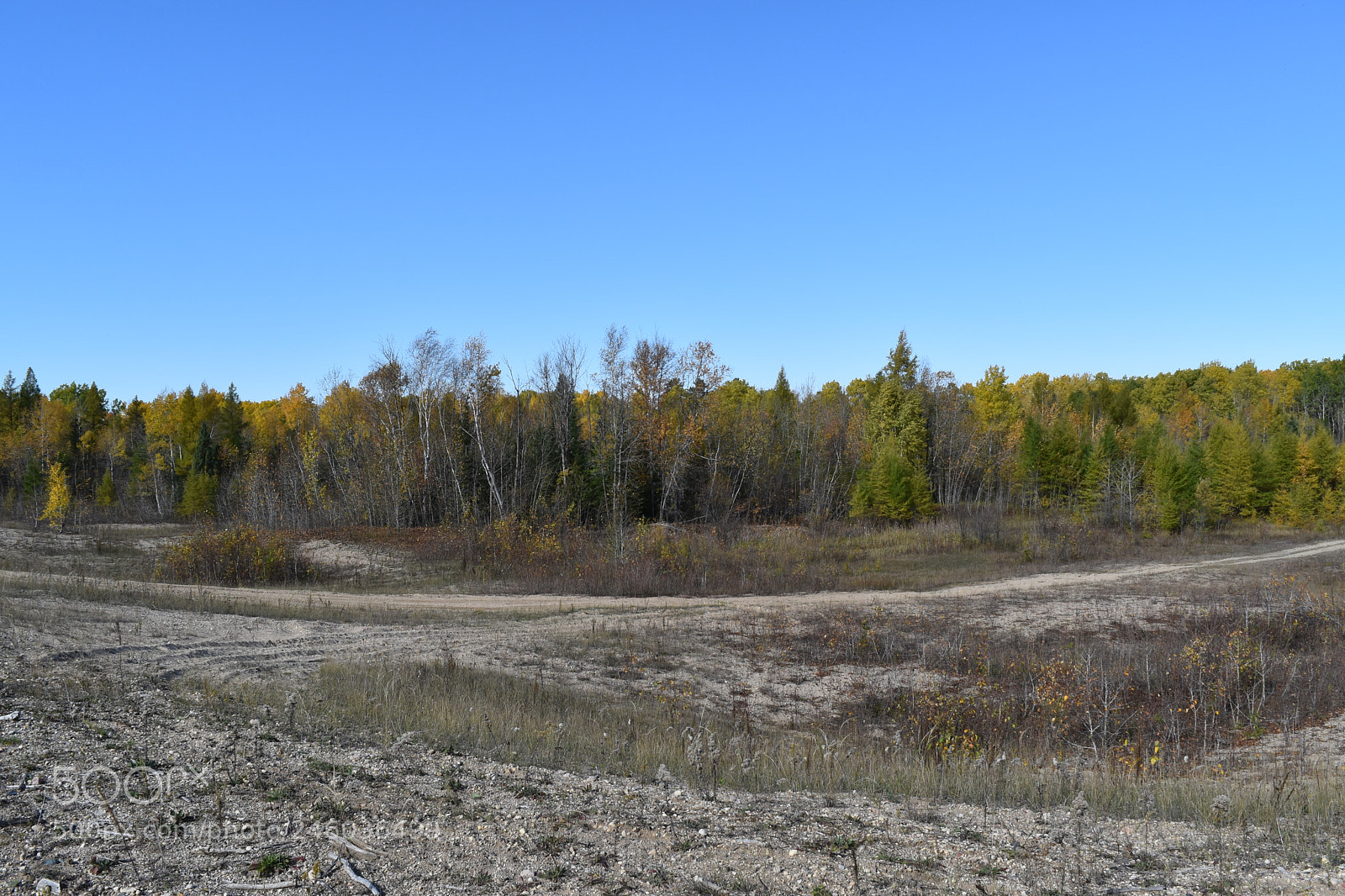 Nikon D5500 sample photo. Canada / usa border photography