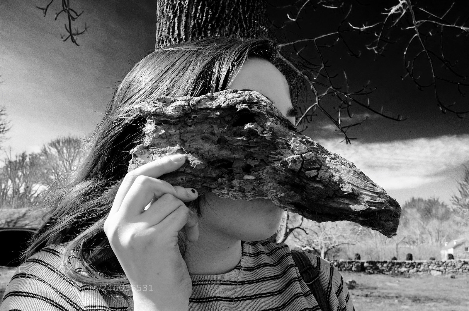 Fujifilm FinePix X100 sample photo. Hawk photography