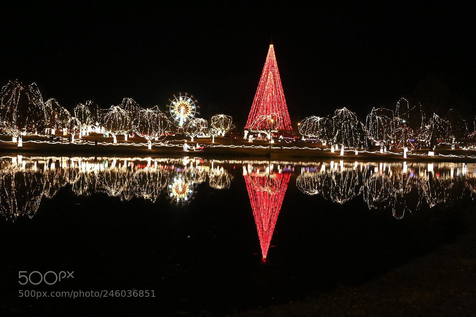 Canon EOS 6D + Canon EF 24-105mm F4L IS USM sample photo. Christmas in the park photography