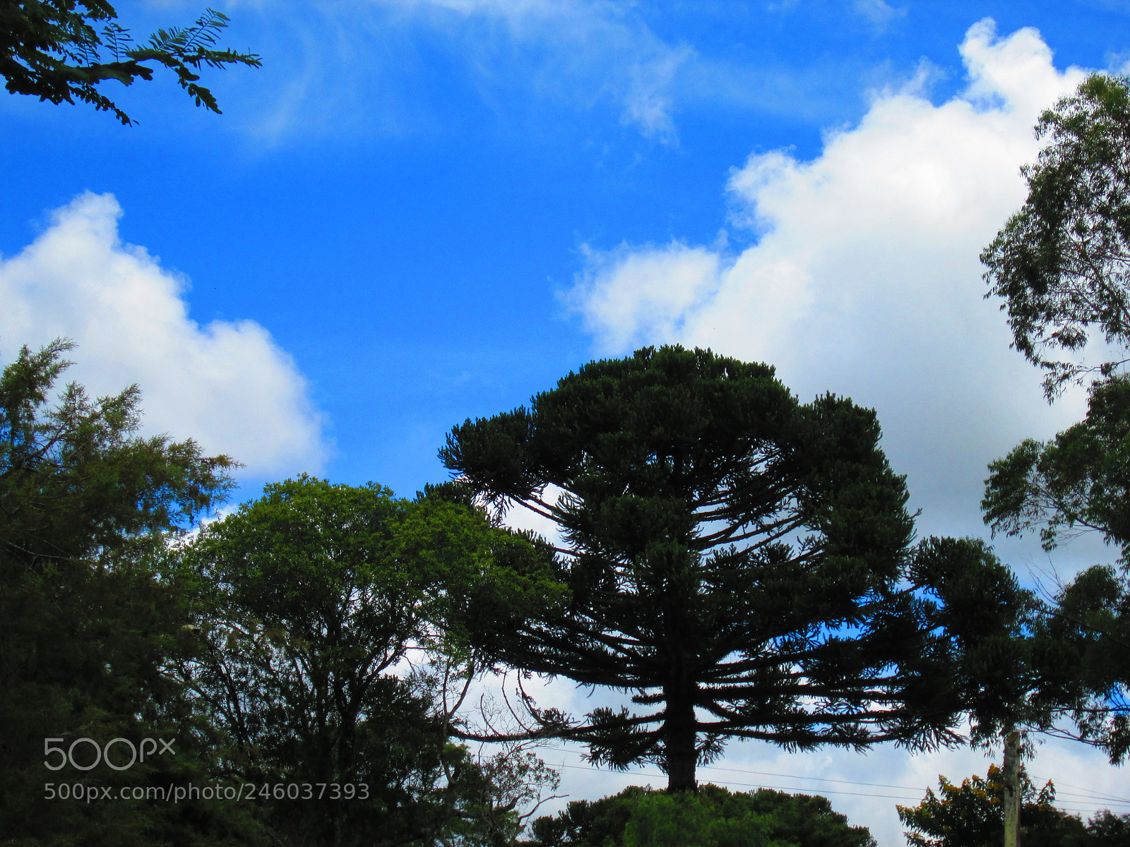 Canon PowerShot A2300 sample photo. [] photography