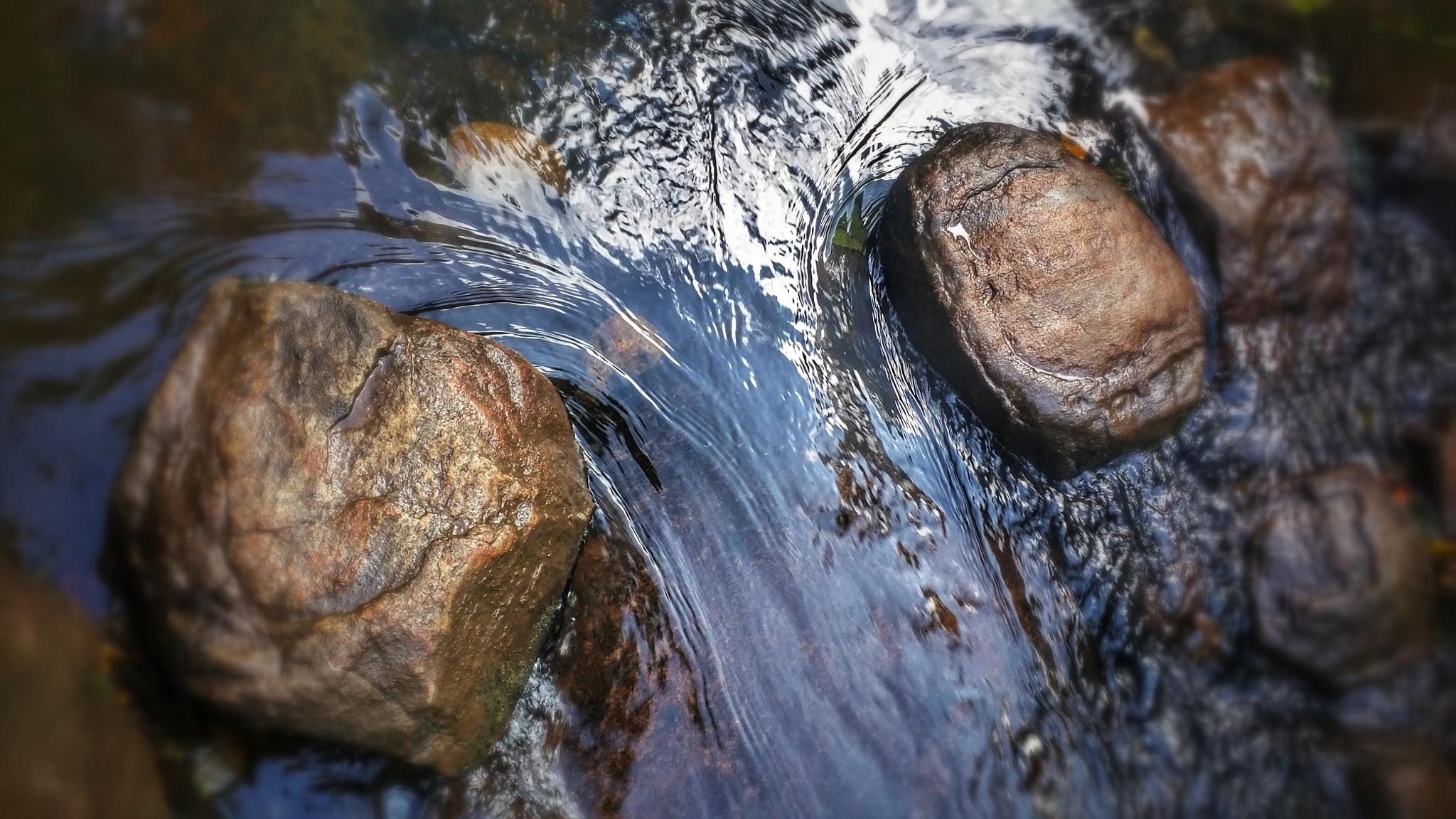 Motorola Nexus 6 sample photo. Rock solid photography