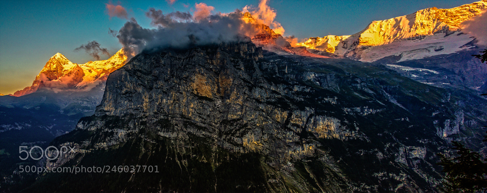 Nikon D810 sample photo. Swiss alps near murren photography