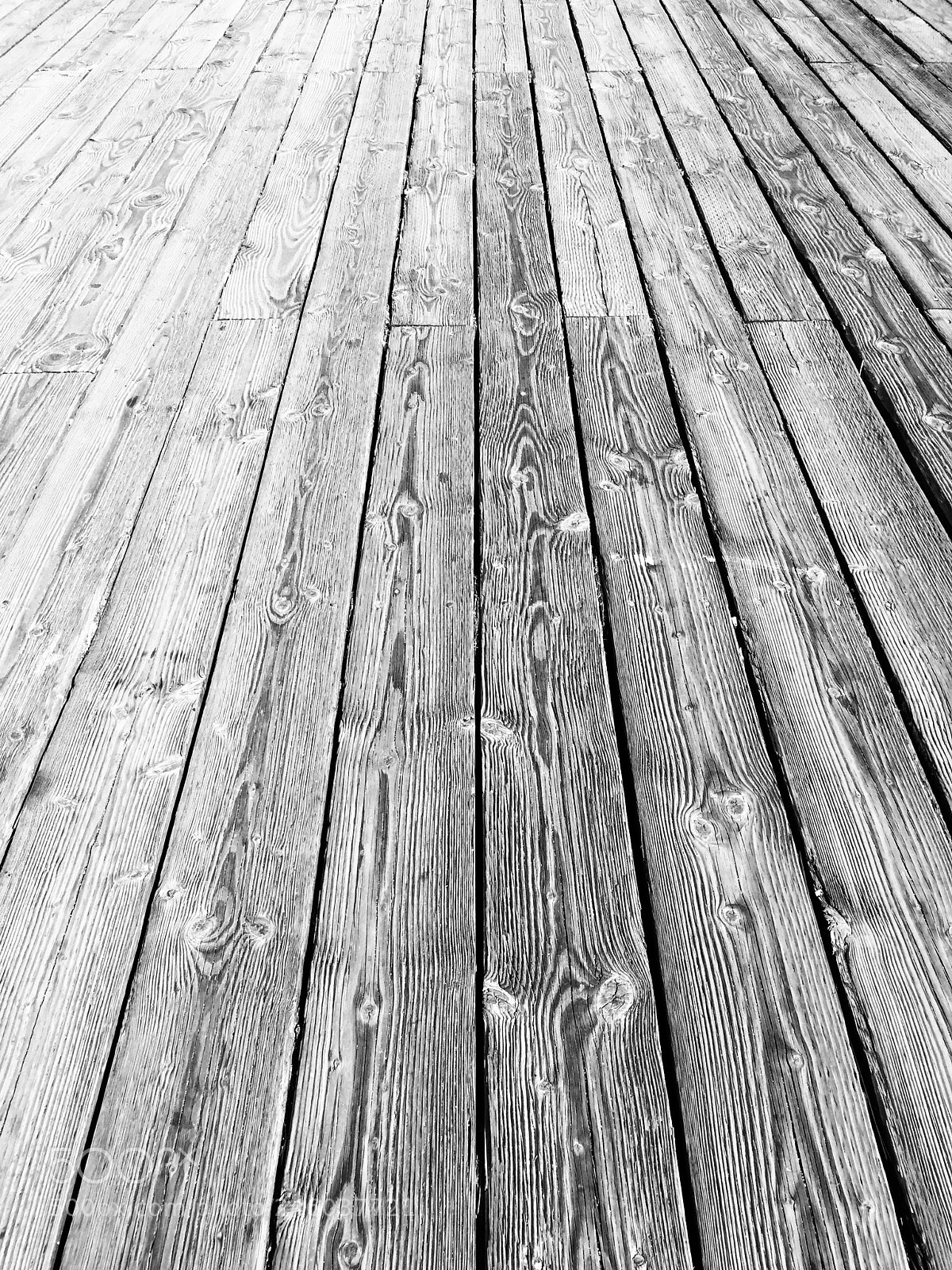 Apple iPhone 6 Plus sample photo. Grains photography