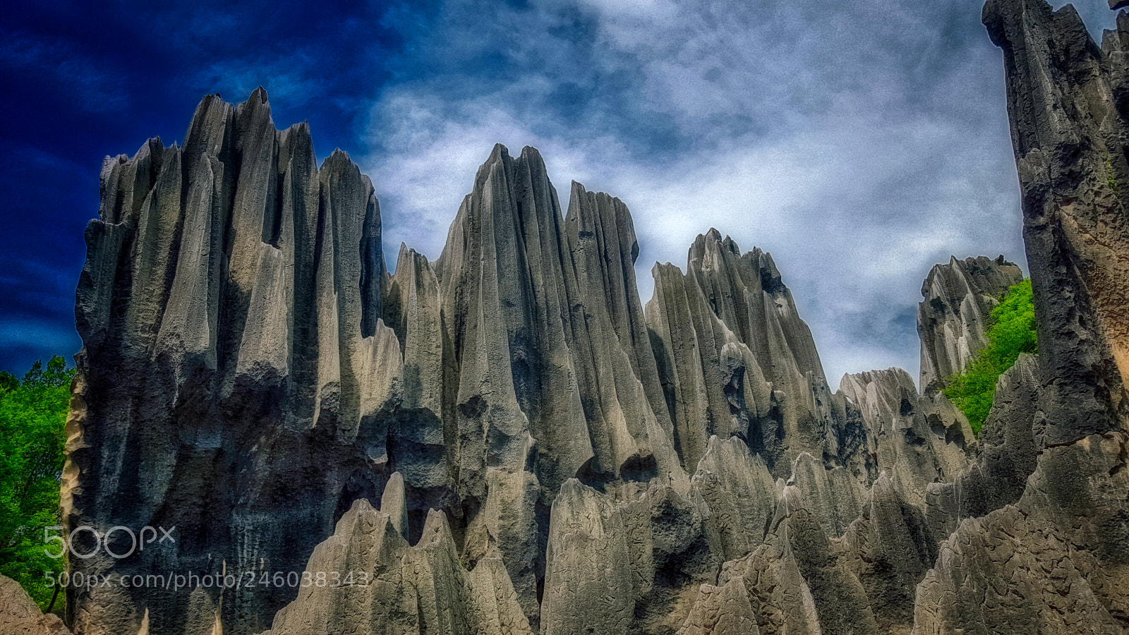 Samsung GALAXY S6 edge sample photo. Stoneforest photography