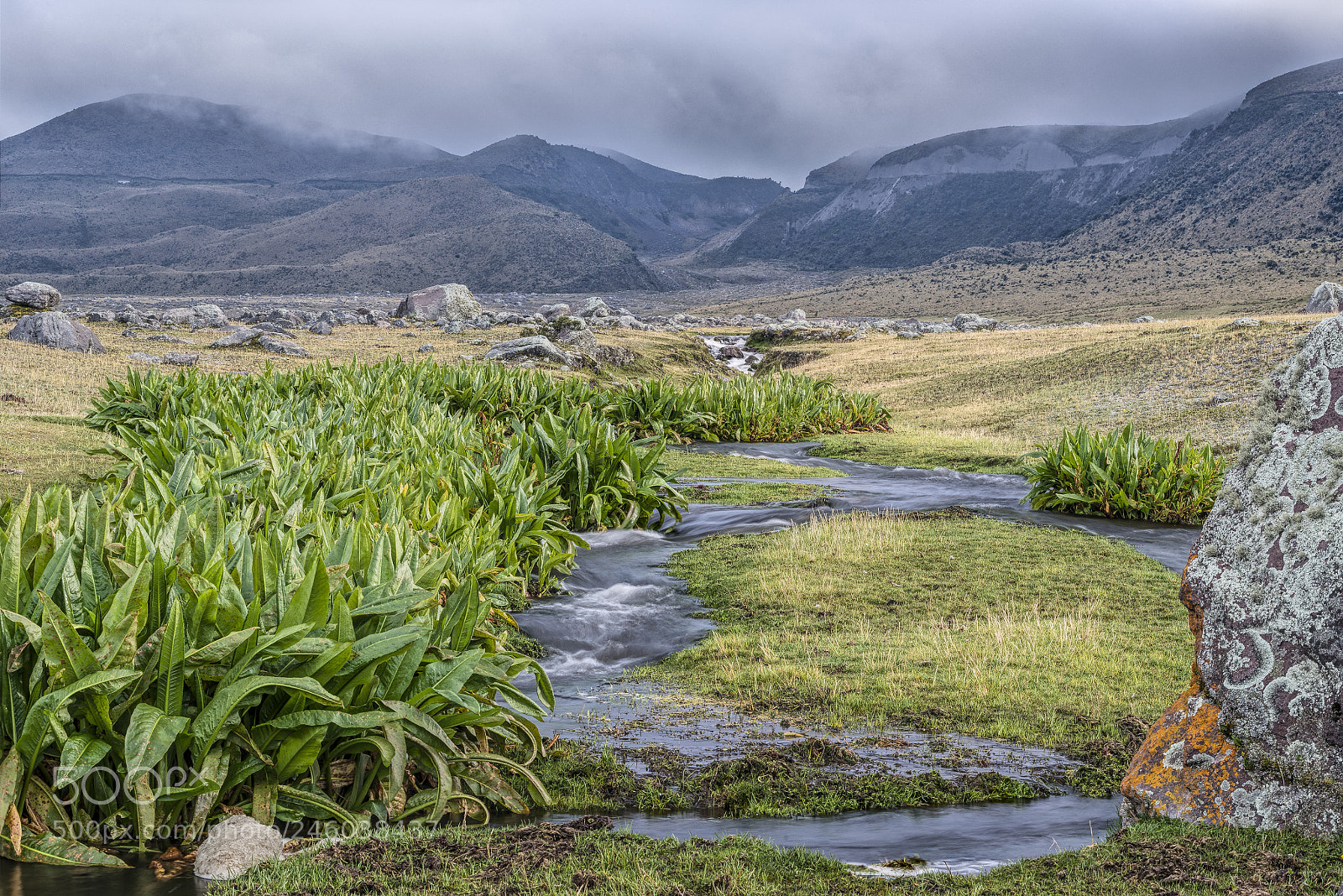 Nikon D800E sample photo. Littel stream in cotopaxi photography
