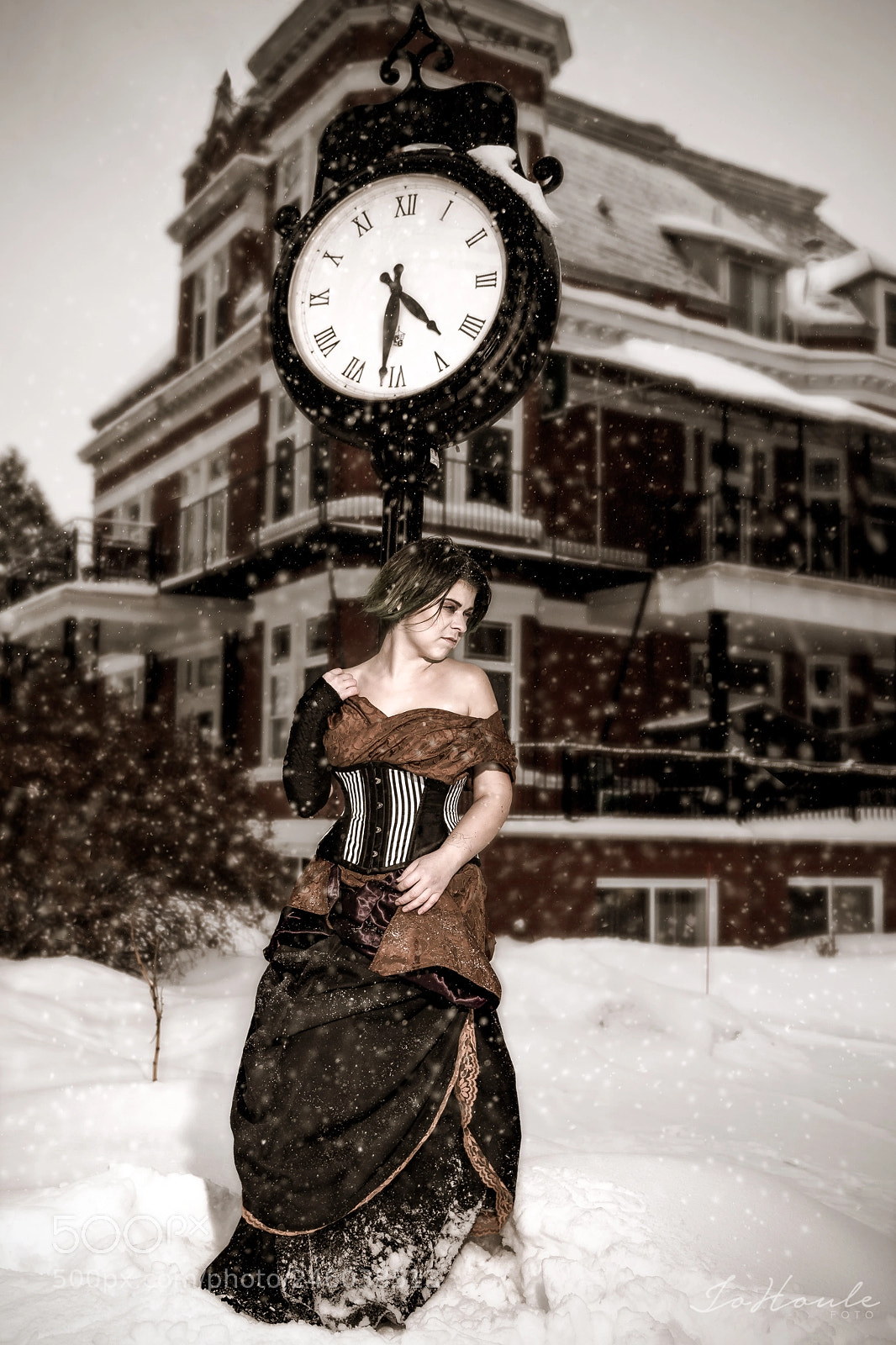 Nikon D800 sample photo. Alice and the crow photography