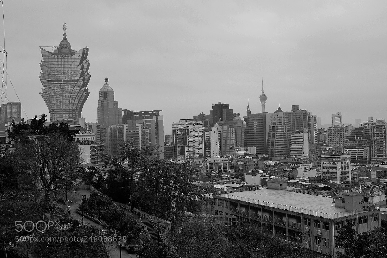 Fujifilm X100T sample photo. Untitled photography