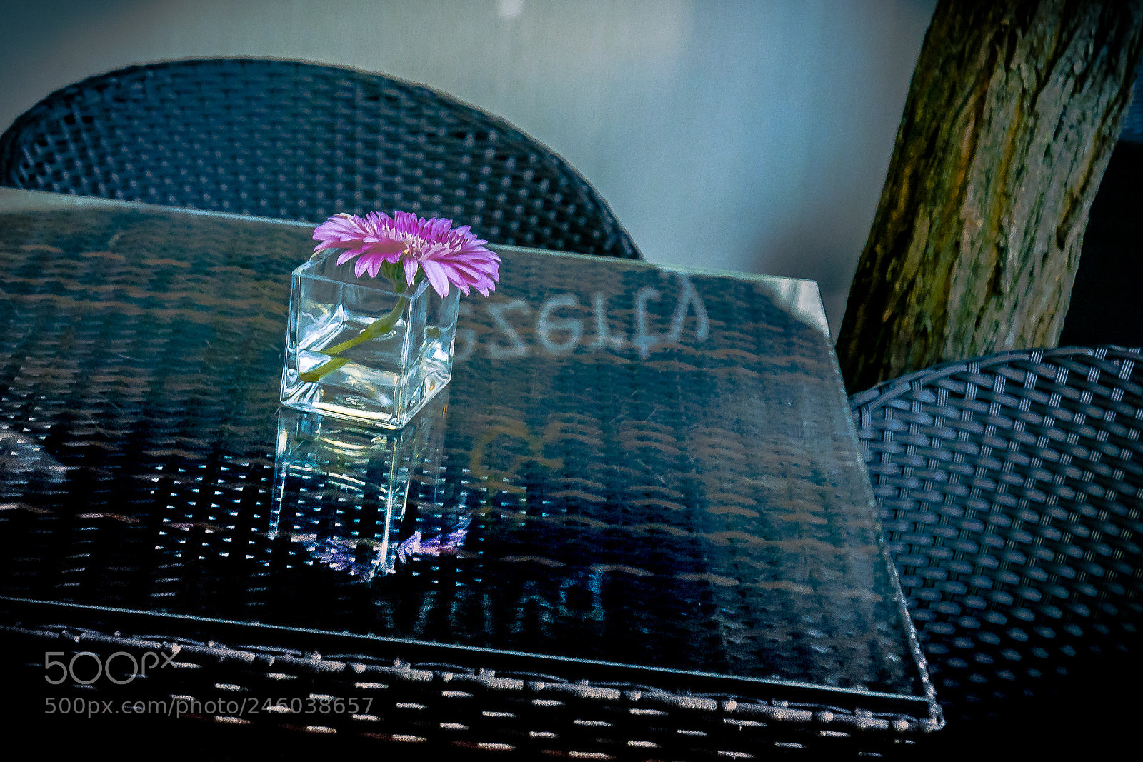 Panasonic Lumix DMC-LX100 sample photo. Allone photography