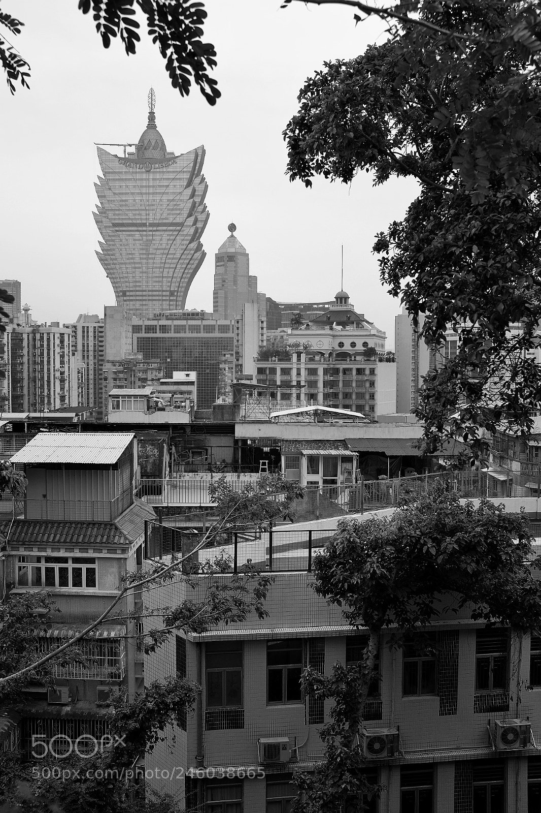 Fujifilm X100T sample photo. Untitled photography