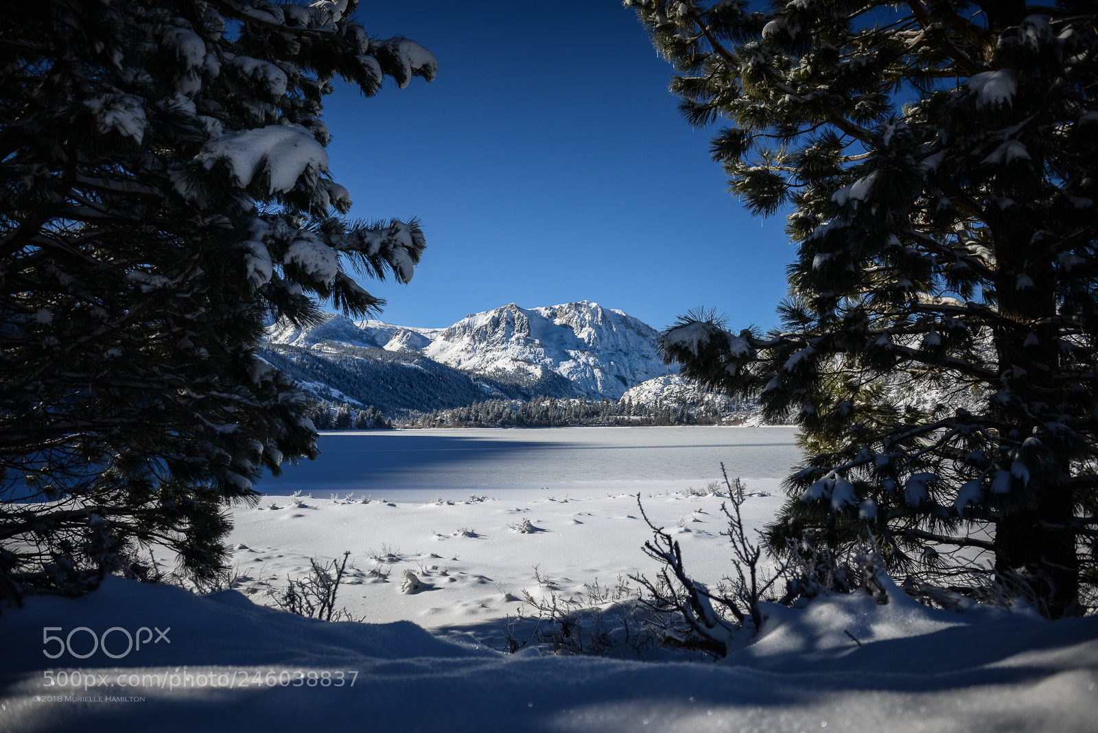 Nikon D800 sample photo. Winter postcard photography