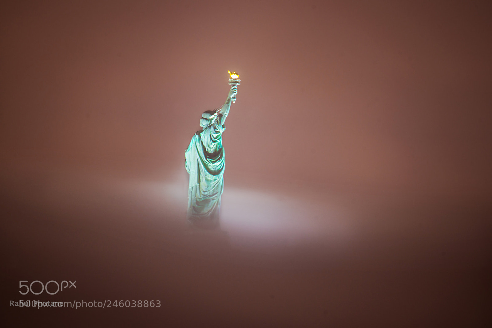 Nikon D800E sample photo. Standing alone in dense photography