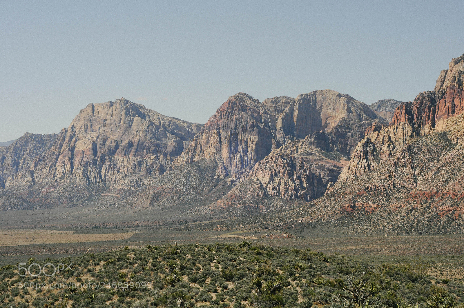 Nikon D300S sample photo. Esb photography