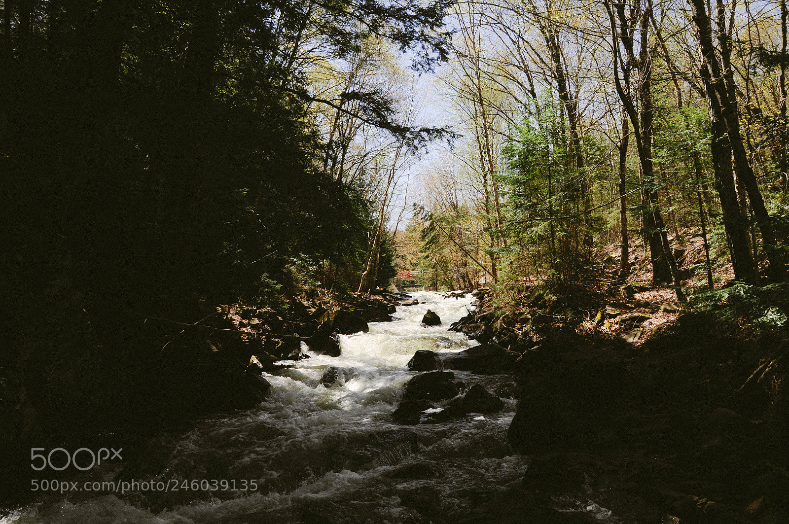 Nikon D300S sample photo. Track and tower trail photography