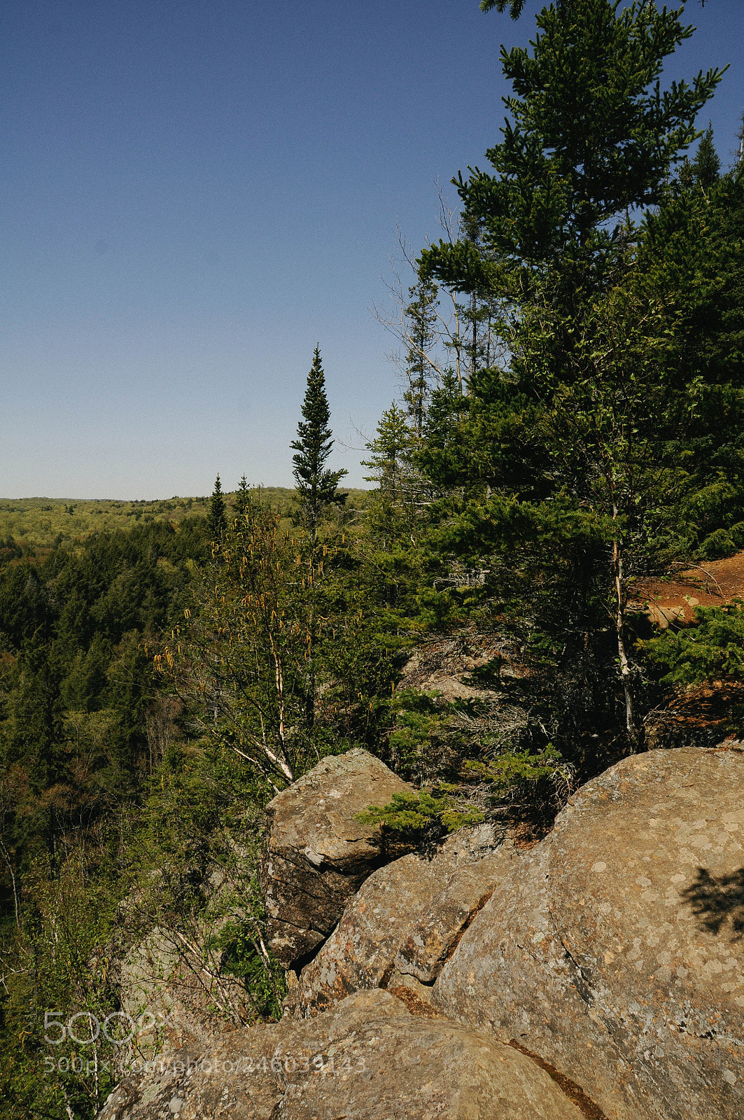 Nikon D300S sample photo. Untitled photography