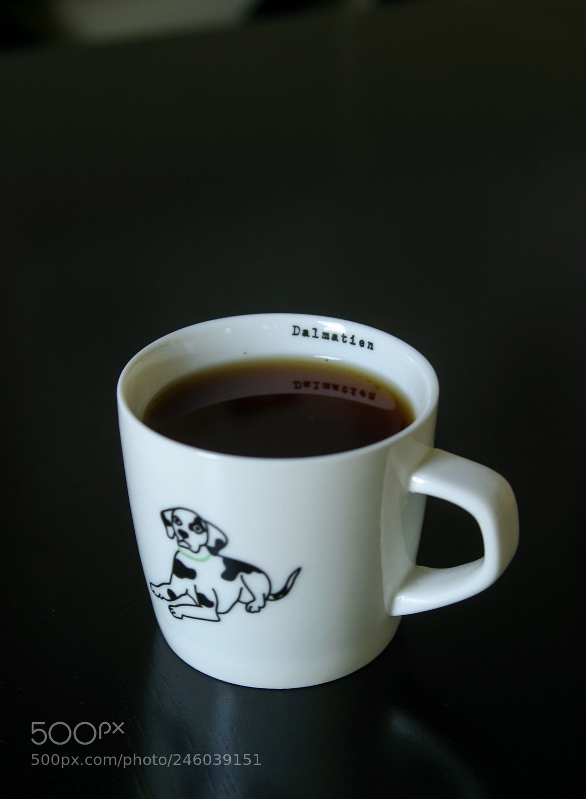 Canon EOS D60 sample photo. Dalmatian mug photography