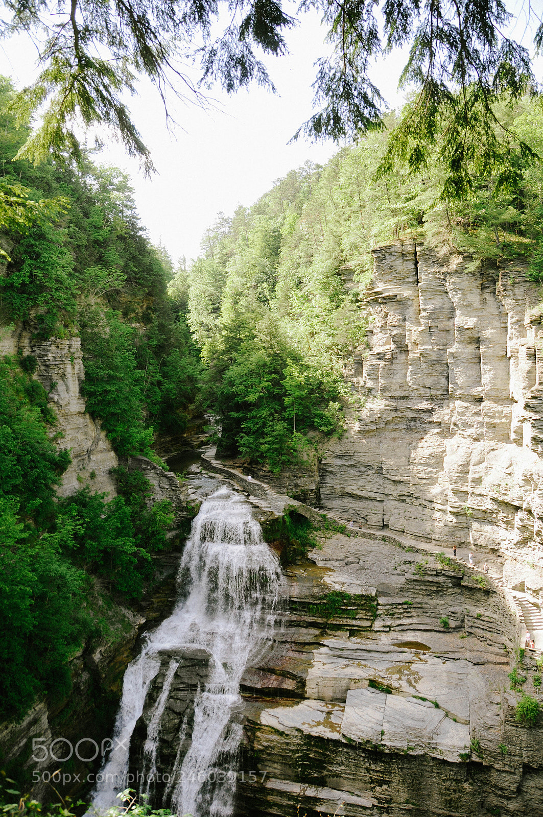 Nikon D300S sample photo. Untitled photography