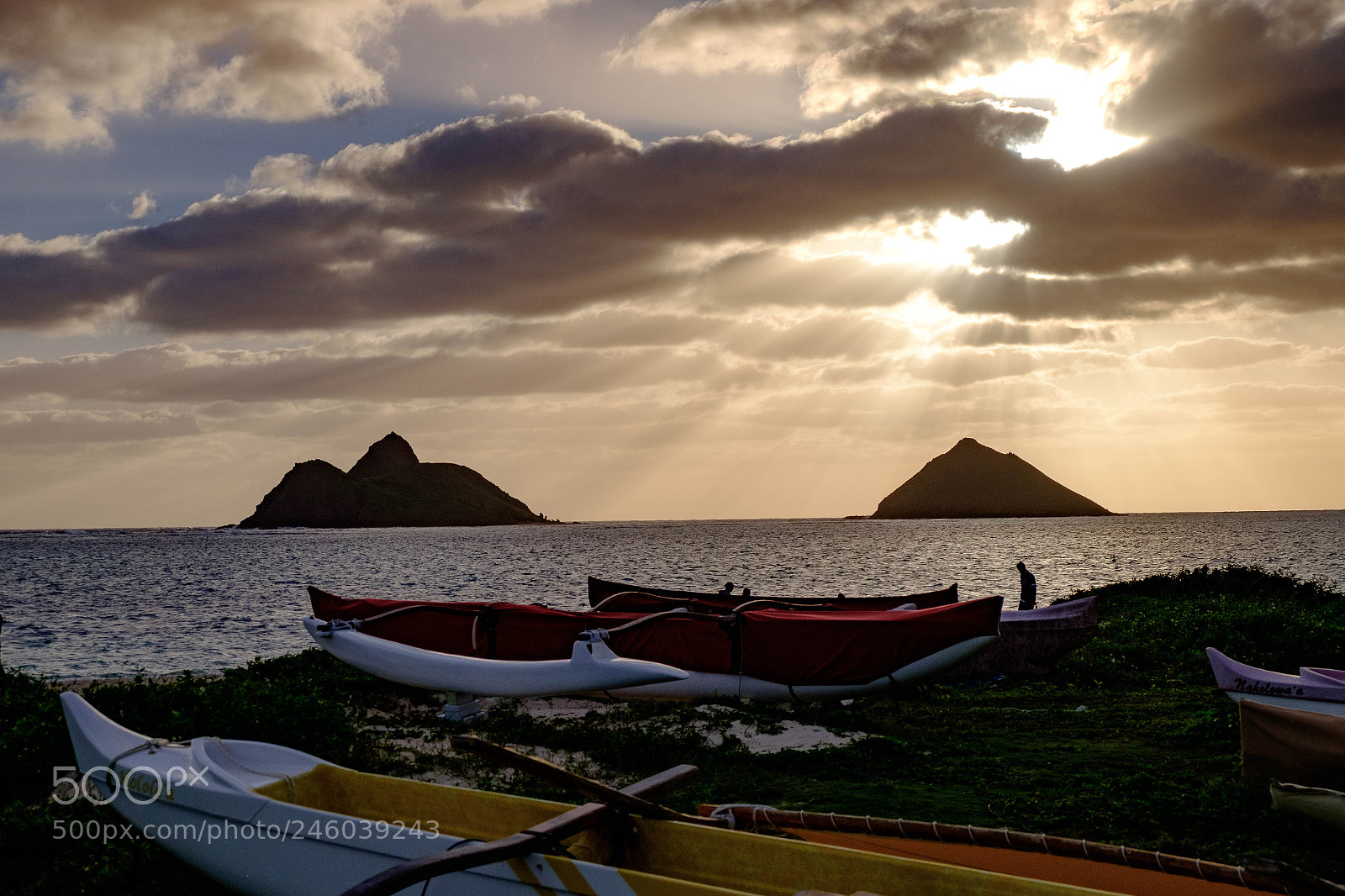 Fujifilm X-T1 sample photo. Dscf9762-2.jpg photography
