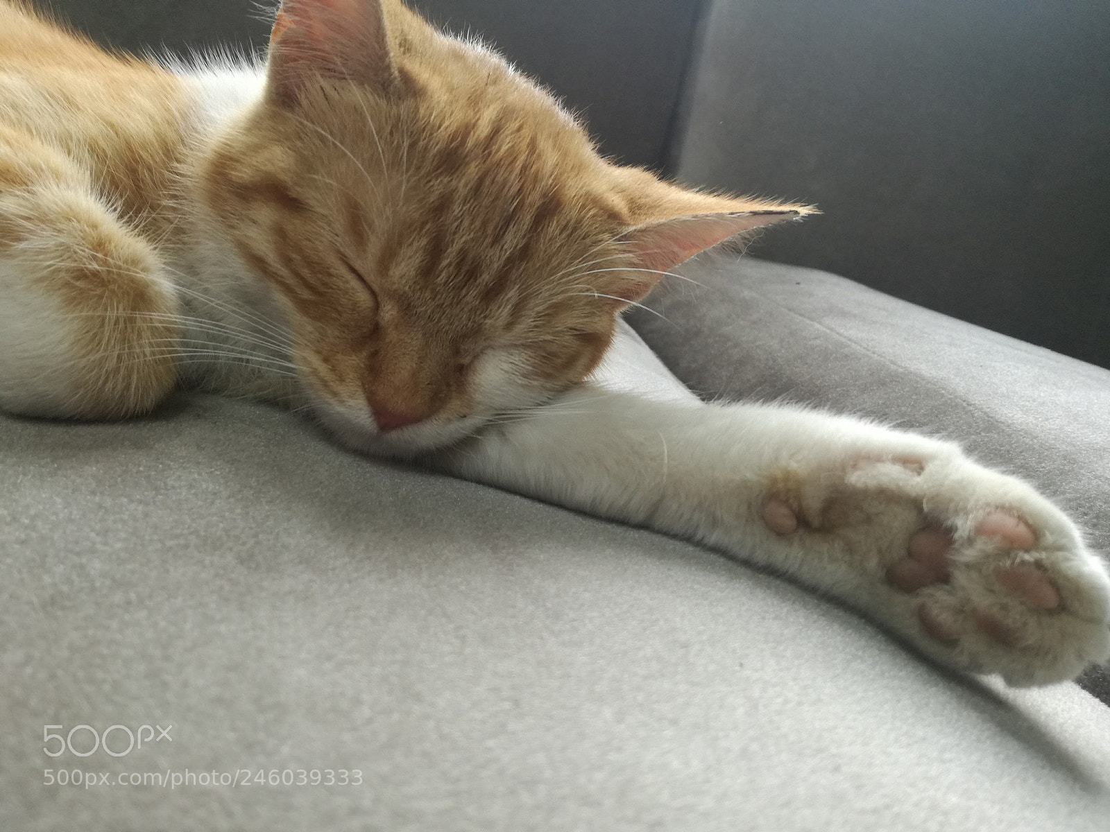 HUAWEI P9 LITE sample photo. Untitled photography
