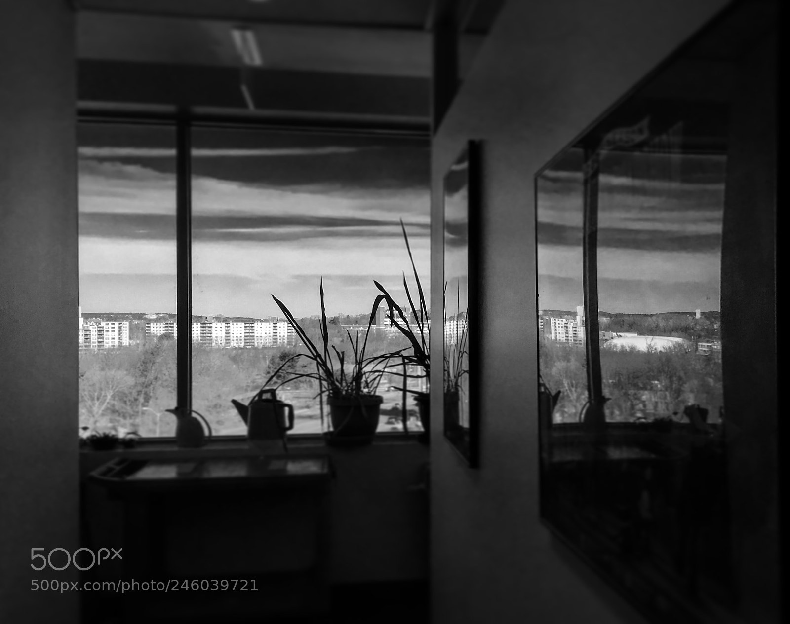 Apple iPhone 6s sample photo. Untitled photography