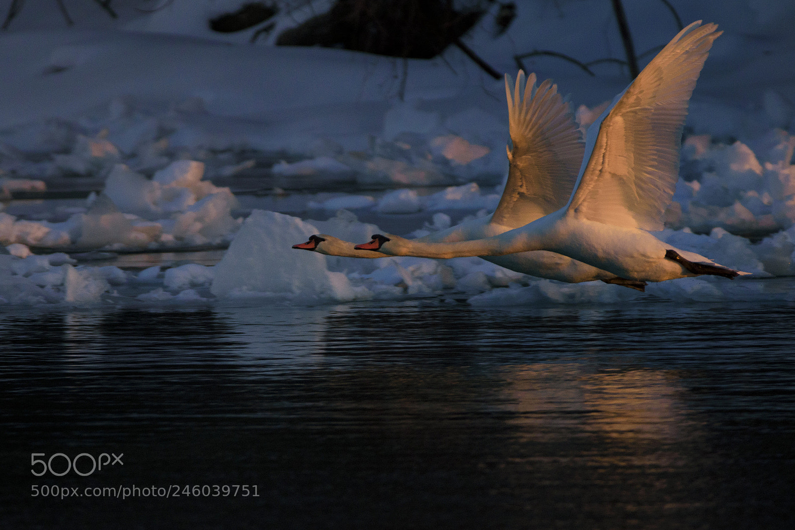 Nikon D7200 sample photo. In last light of photography