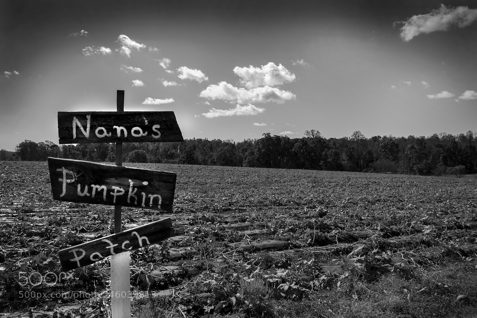 Nikon D800 sample photo. Landscape photography