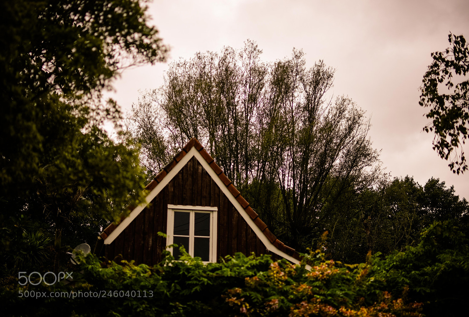 Nikon D7200 sample photo. Another picturesque house in photography