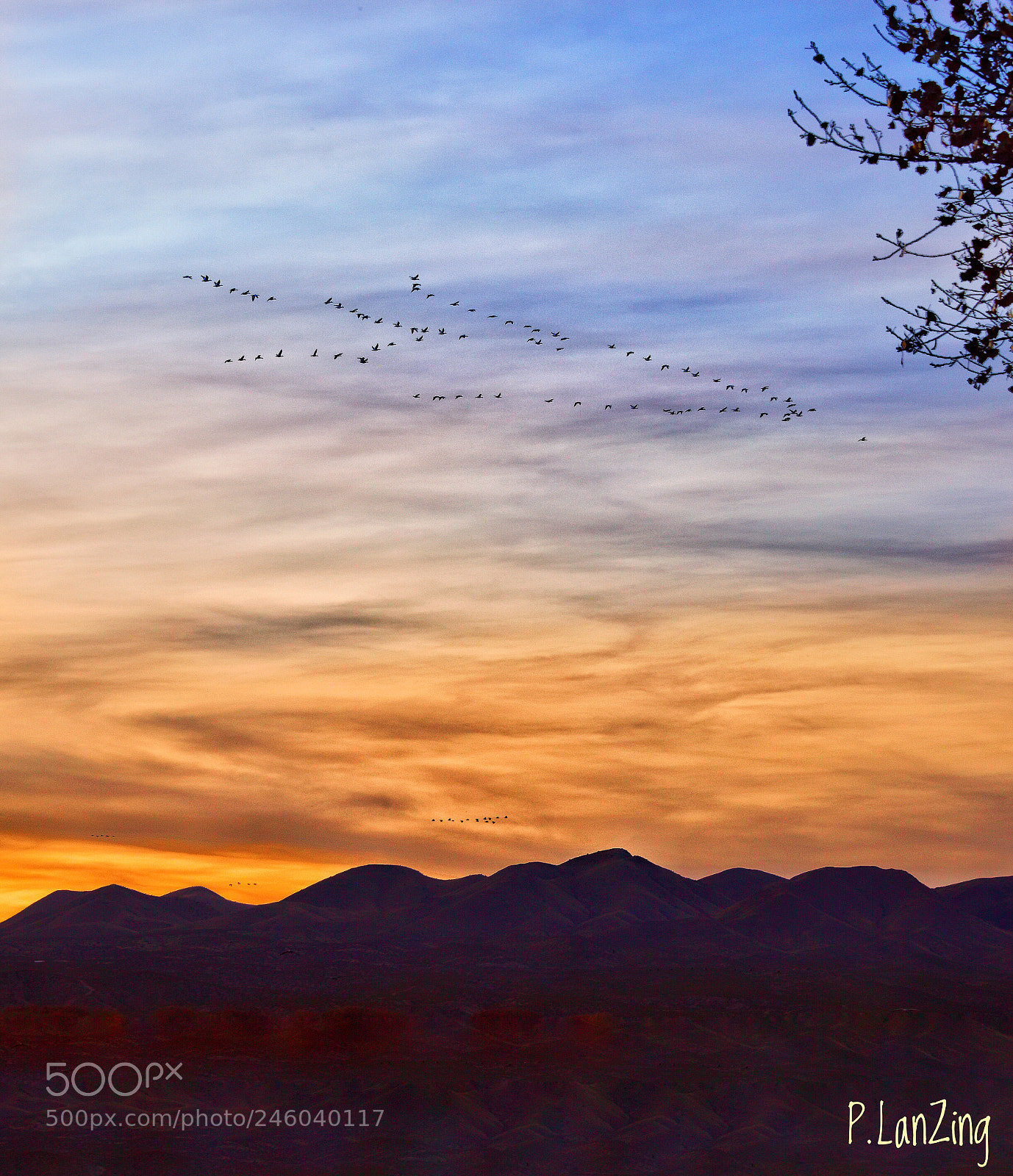 Nikon D810 sample photo. Migration, new mexico photography