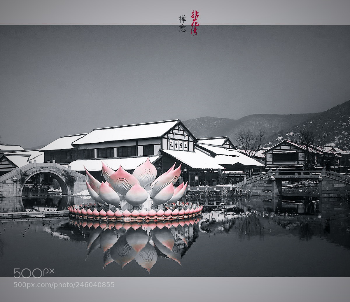 Nikon D300 sample photo. 无锡拈花湾小镇 photography