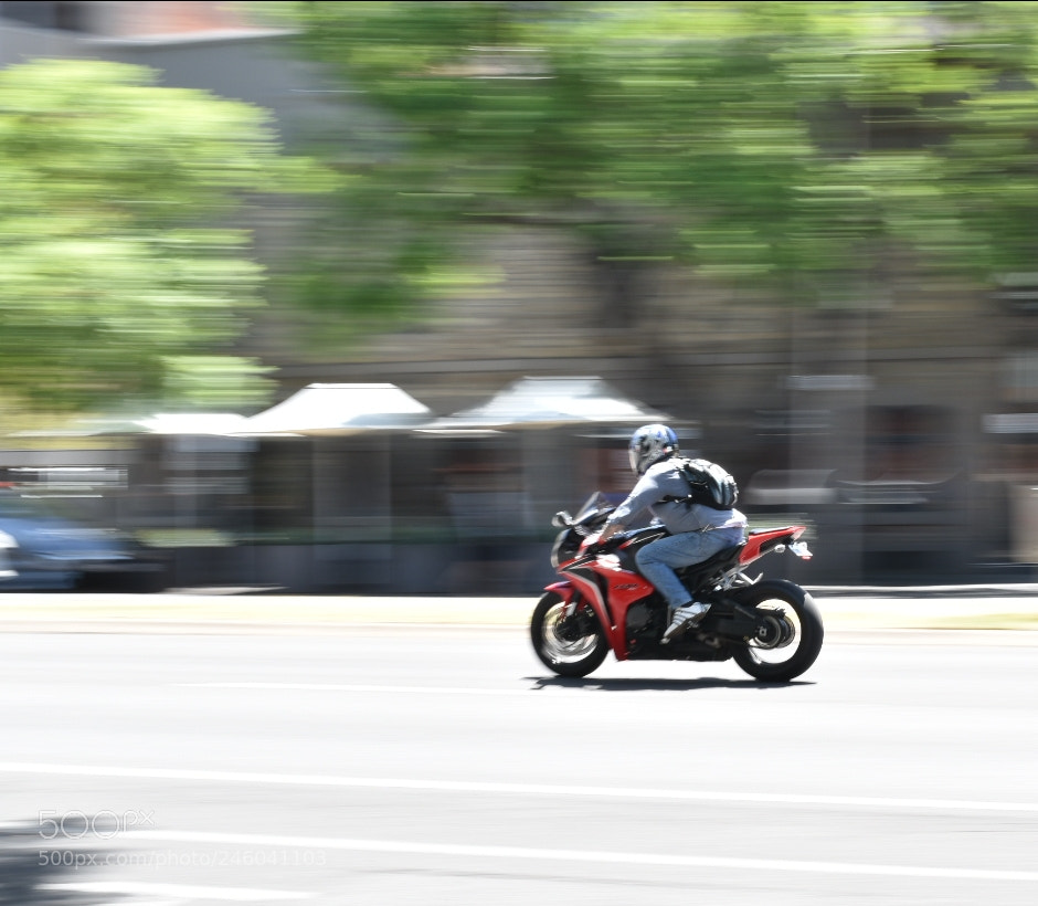Nikon D5600 sample photo. Omw photography
