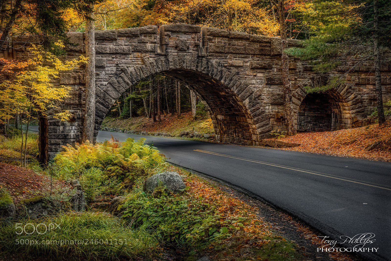 Nikon D810 sample photo. Stanley brook bridge photography