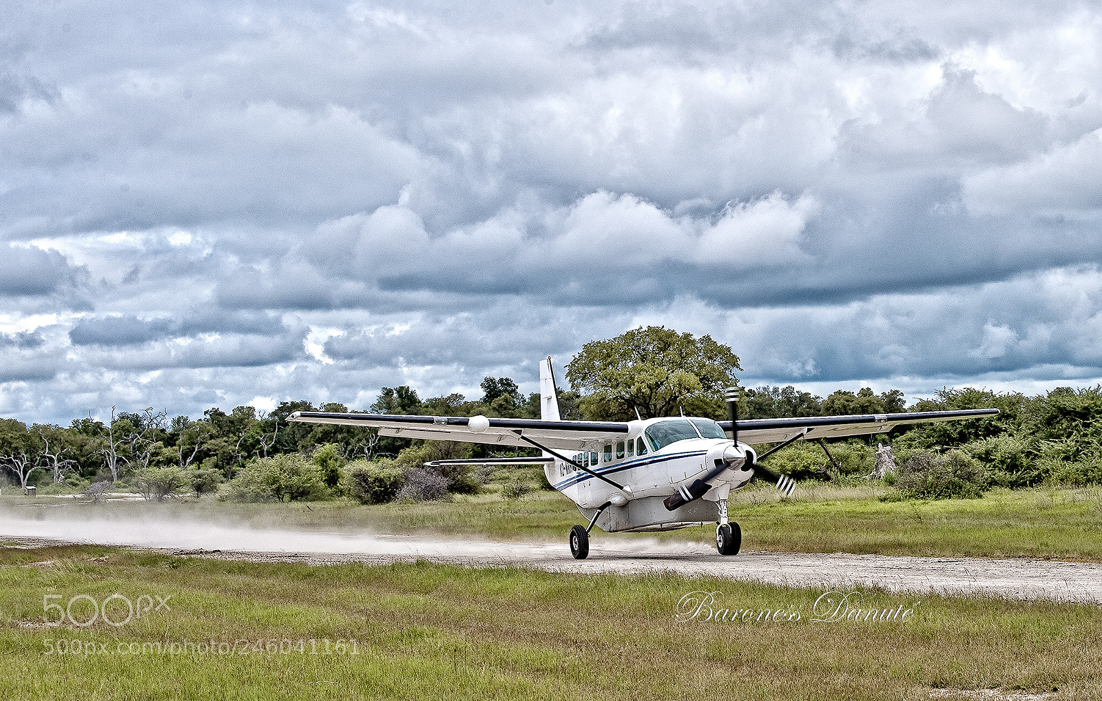 Nikon D3 sample photo. Our plane the  bush photography