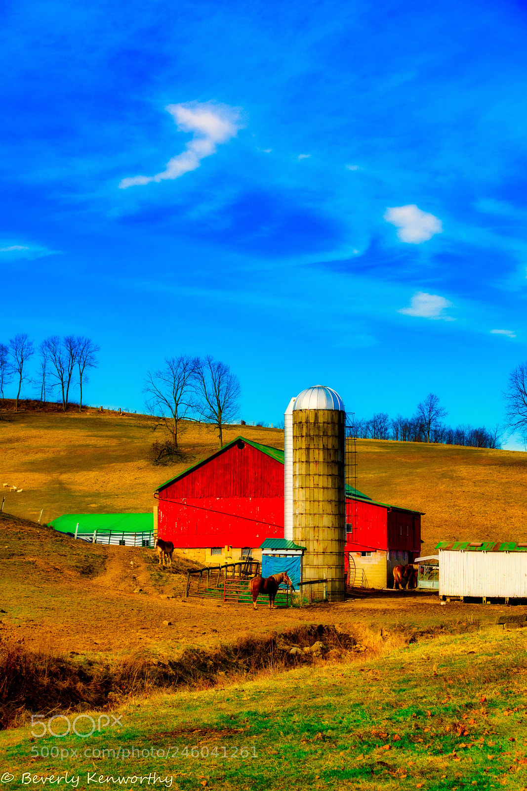 Nikon D7200 sample photo. Millersburg oh photography