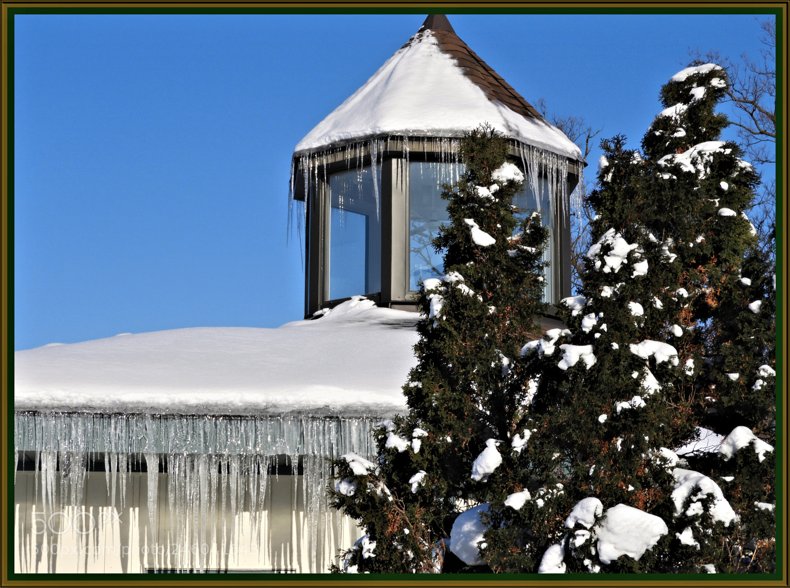 Nikon Coolpix B700 sample photo. Icicle beauty photography