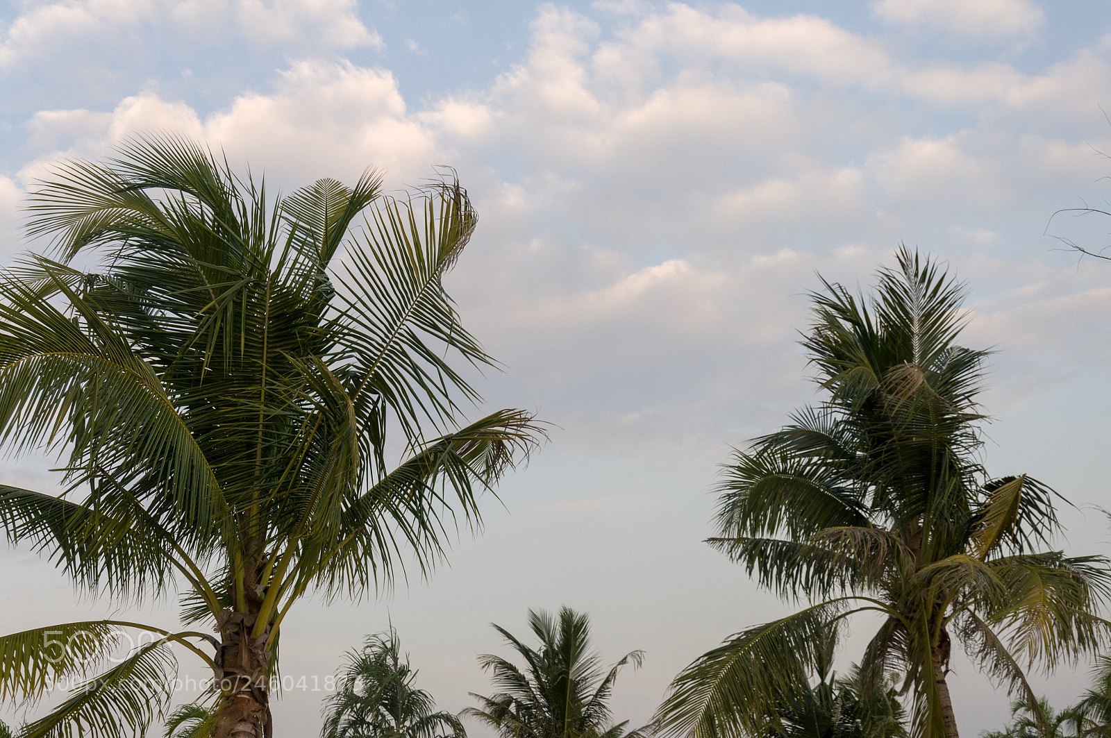 Nikon D5000 sample photo. Otres beach photography