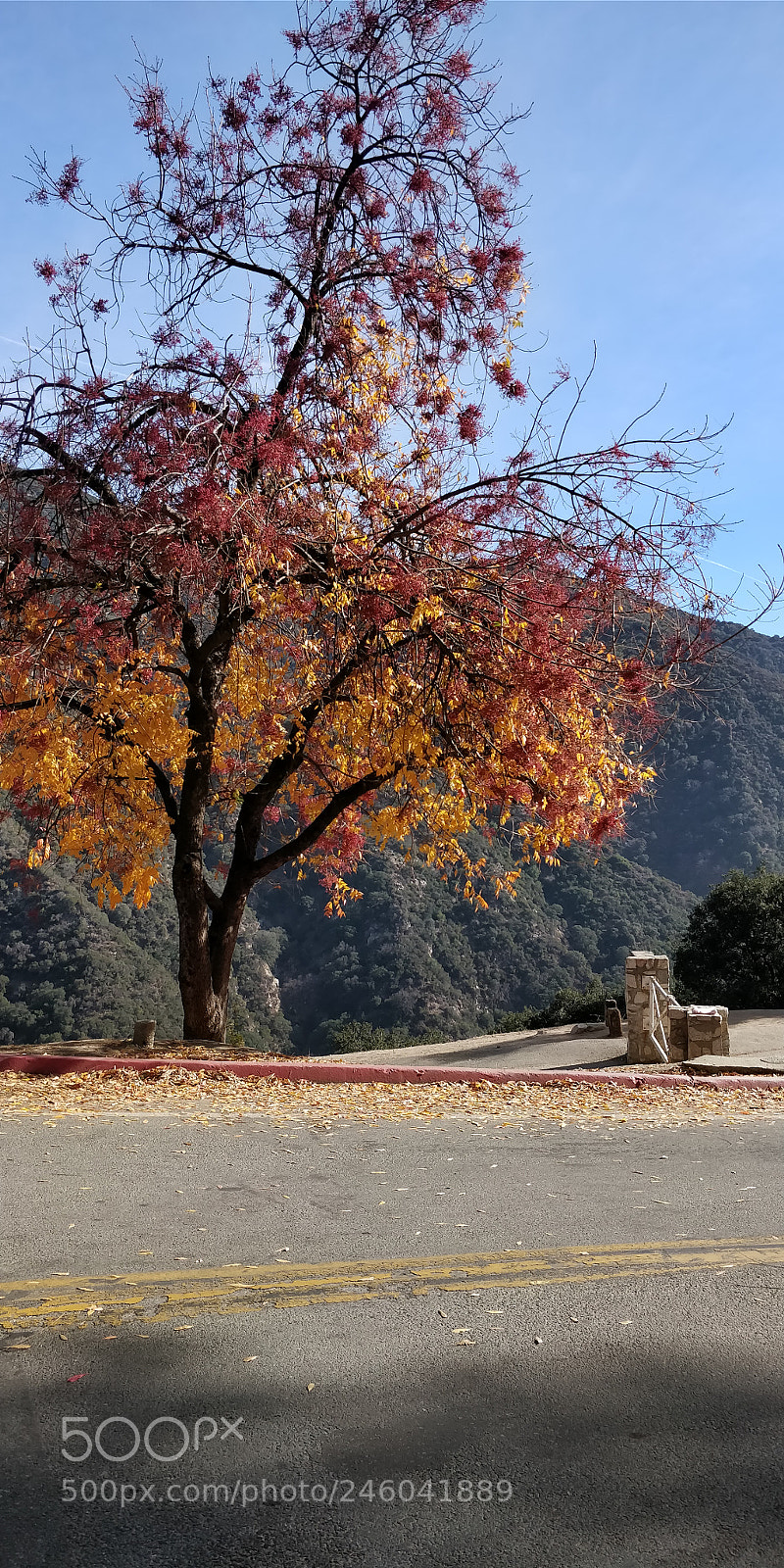 OnePlus 5T sample photo. Untitled photography