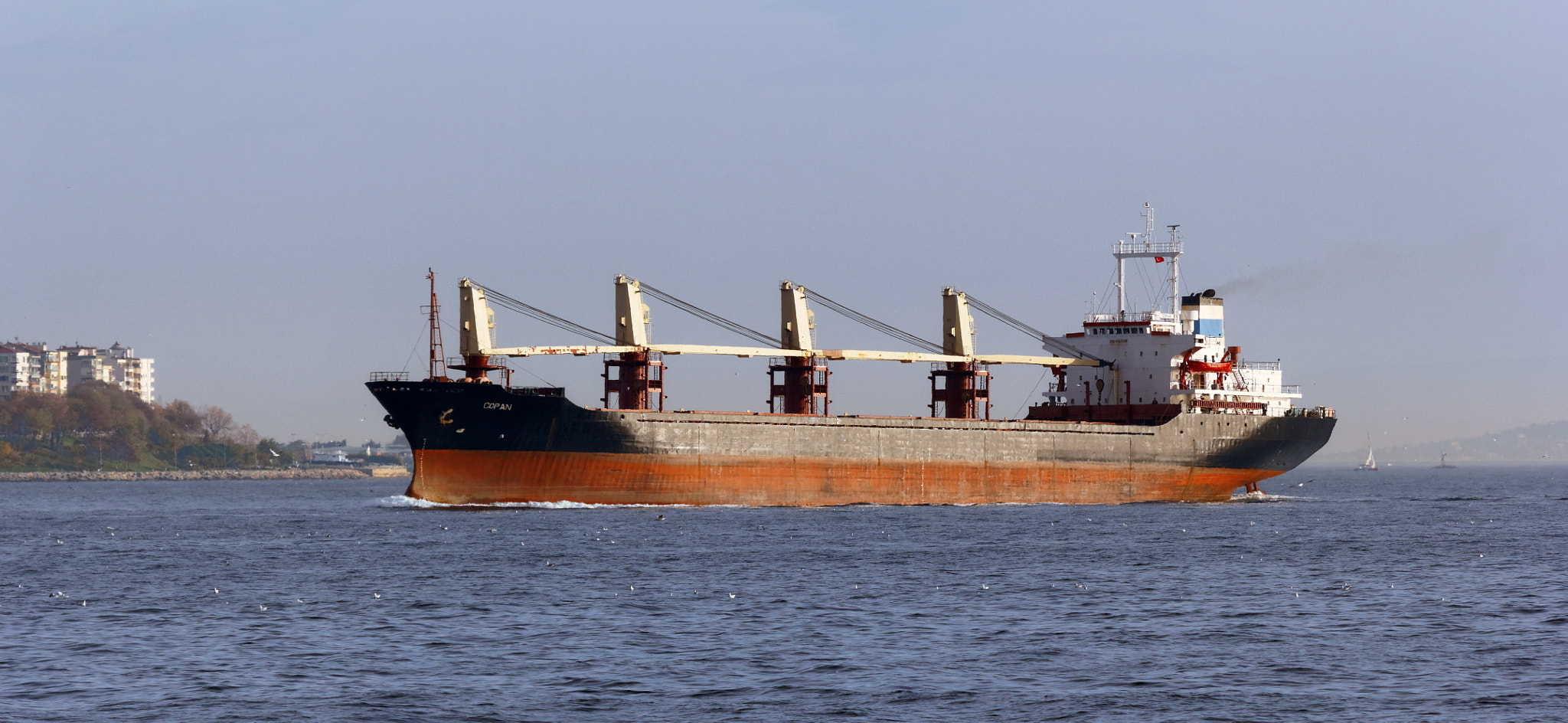 Sigma 50-200mm F4-5.6 DC OS HSM sample photo. Bosphorus. bulk carrier "copan" photography