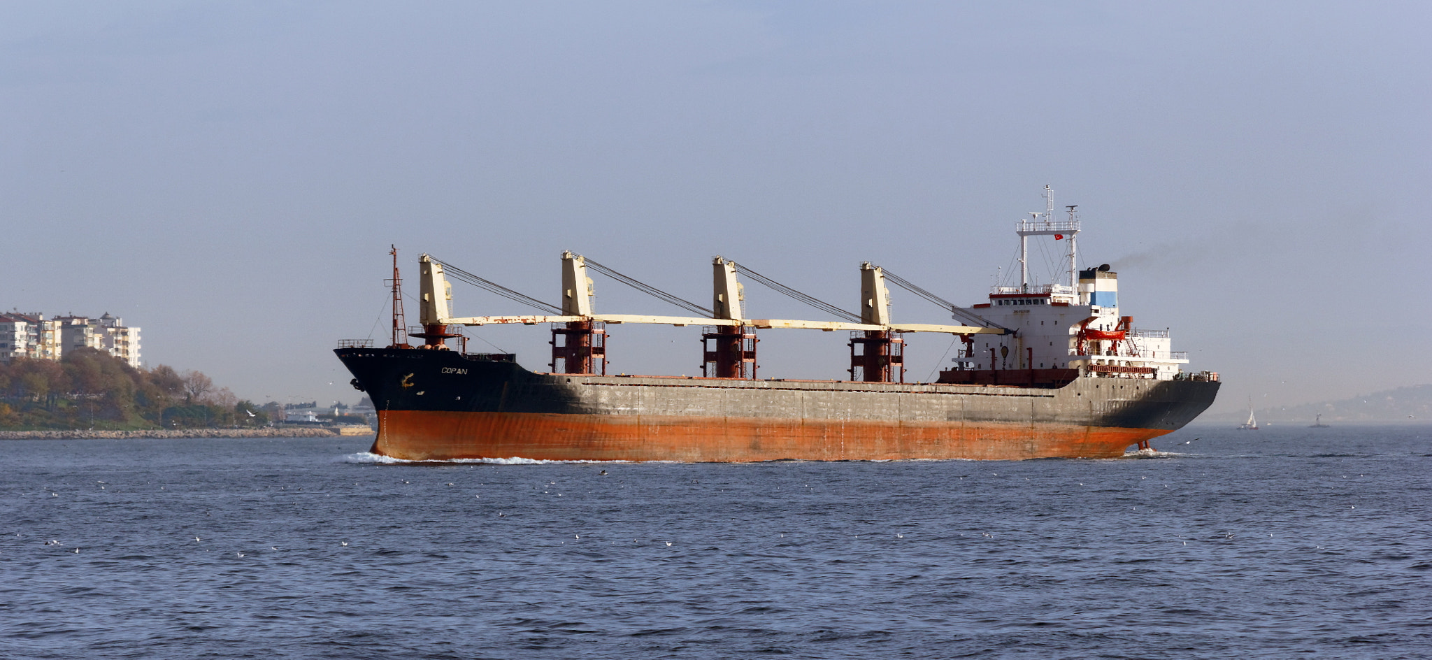 Canon EOS 550D (EOS Rebel T2i / EOS Kiss X4) sample photo. Bosphorus. bulk carrier "copan" photography