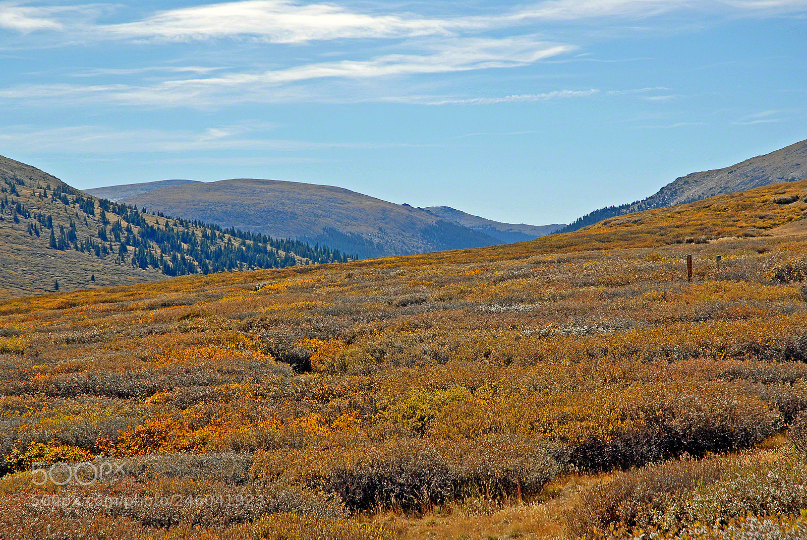 Nikon D200 sample photo. Mount bierstadt trailhead in photography